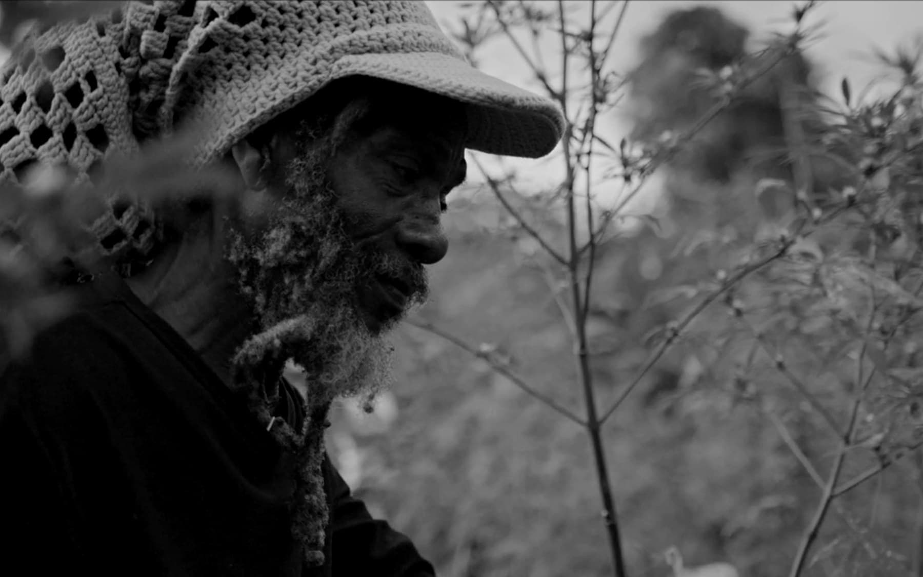 A certified Jamaican herbalist preparing traditional plant remedies.