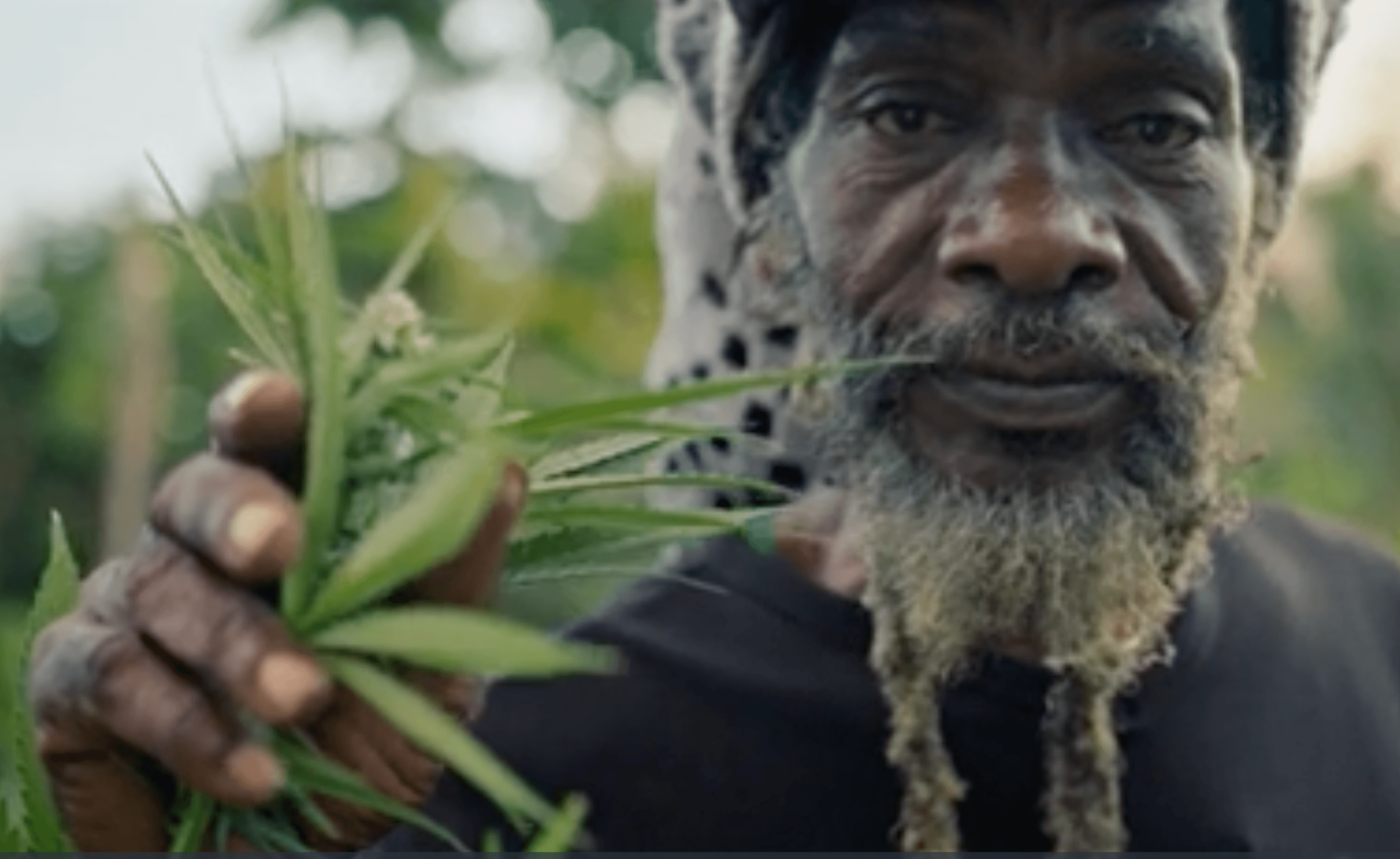 Herbalist Background